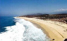 Miles and miles of beach
