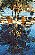 Overlooking Playa La Ropa 
