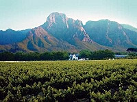 cape winelands
