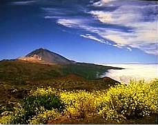 Tenerife's stark scenery
