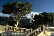 Hotel Botanico