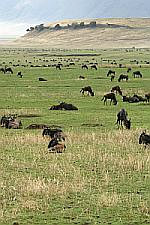 Ngorongoro Crater