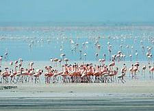 Lake Manyara