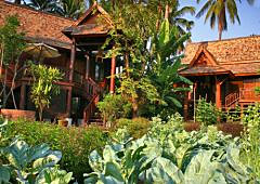 Luxurious honeymoon in Chiang Mai