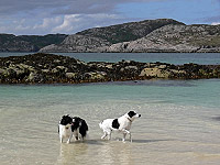british isles