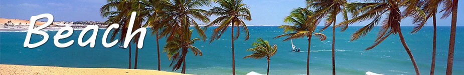 beach